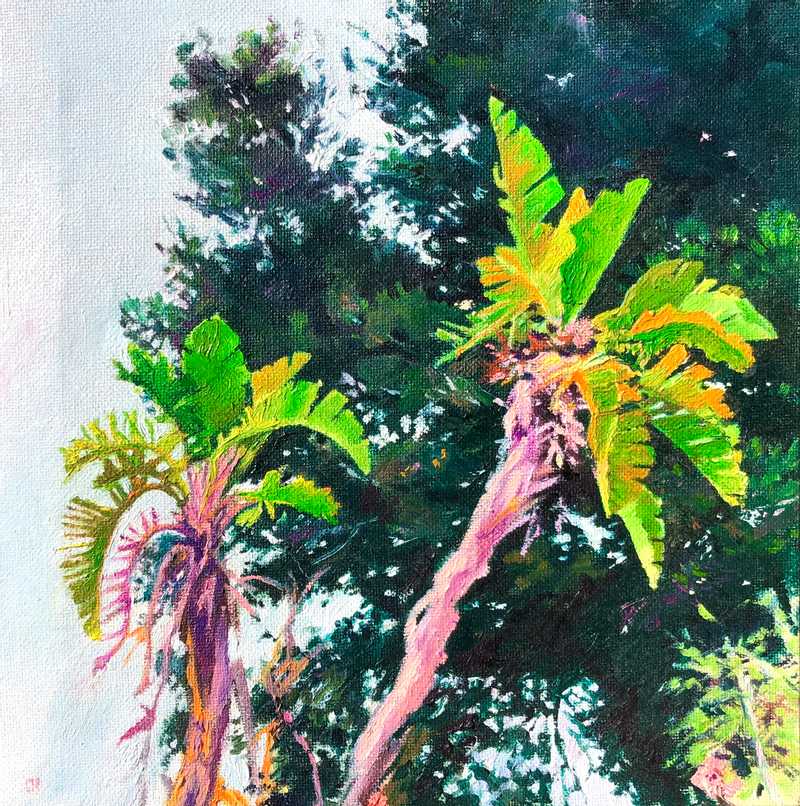 Palm Trees. Ibiza
