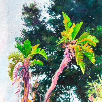 Palm Trees. Ibiza